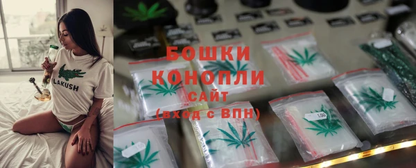 ПСИЛОЦИБИНОВЫЕ ГРИБЫ Богородск