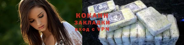 сатива Беломорск