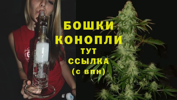 ПСИЛОЦИБИНОВЫЕ ГРИБЫ Саяногорск